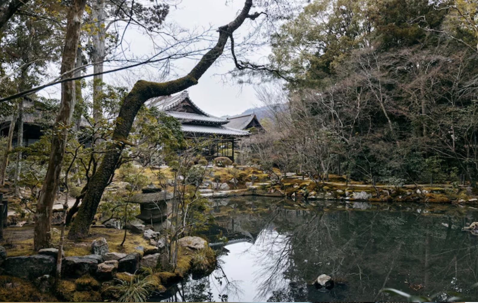amanaの掲載商品